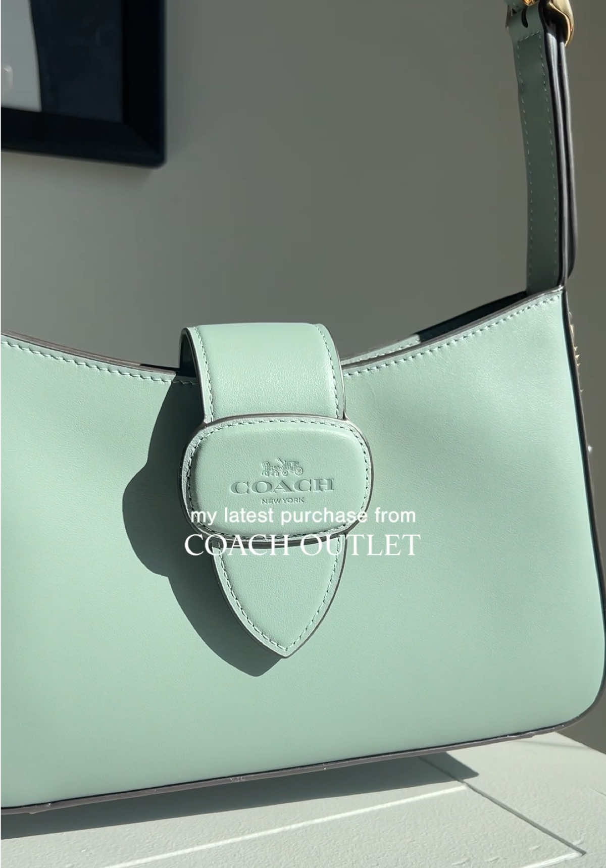 ok but this song was made for this bag @Coach  #handbag #purse #bag #bags #handbags #coach #coachpurse #style #fashion #accessories #fyp #sale #sales #fashiontiktok  