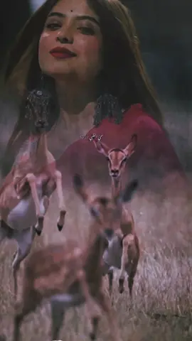 #من يقول الزين #تصميمي #إكسبلوررررررر_explor 