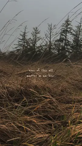 the grass is dying and so are we. the river banks flow freely, but soon they will be forced to stop, to still. we are every deities biggest regret.  #pagan #polytheist #hellenic #celtic #yearning #spiritual #nordic #celticpagan #nordicpagan #hellenicpagan #witchcraft #witch #america #greek #savetheworldnotyourself 
