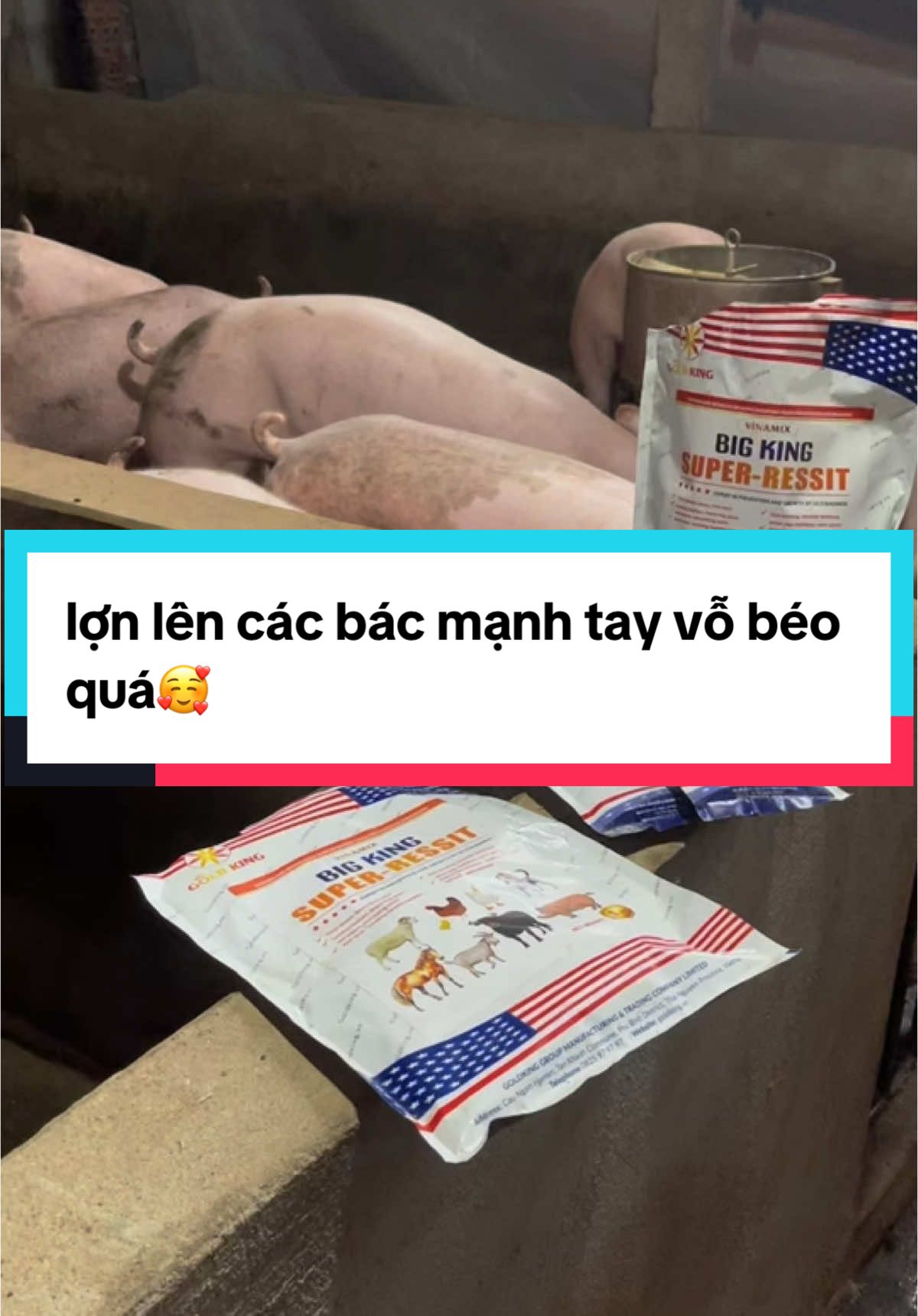 lợn được giá, các bác mạnh tay vỗ béo quá🥰  #Hienluongchanuoi #vuive #channuoiheo #channuoiga #xh #vobeo 