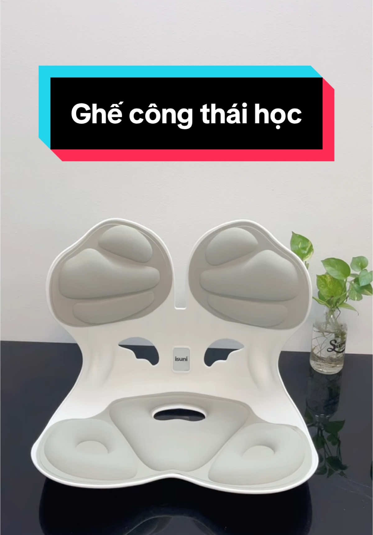 1 chiếc ghế chân ái cho tất cả mọi người #ghecongthaihoc #ghedieuchinhtuthe #ghecongthaihocisuni #xuhuong #chipchipsayhi 