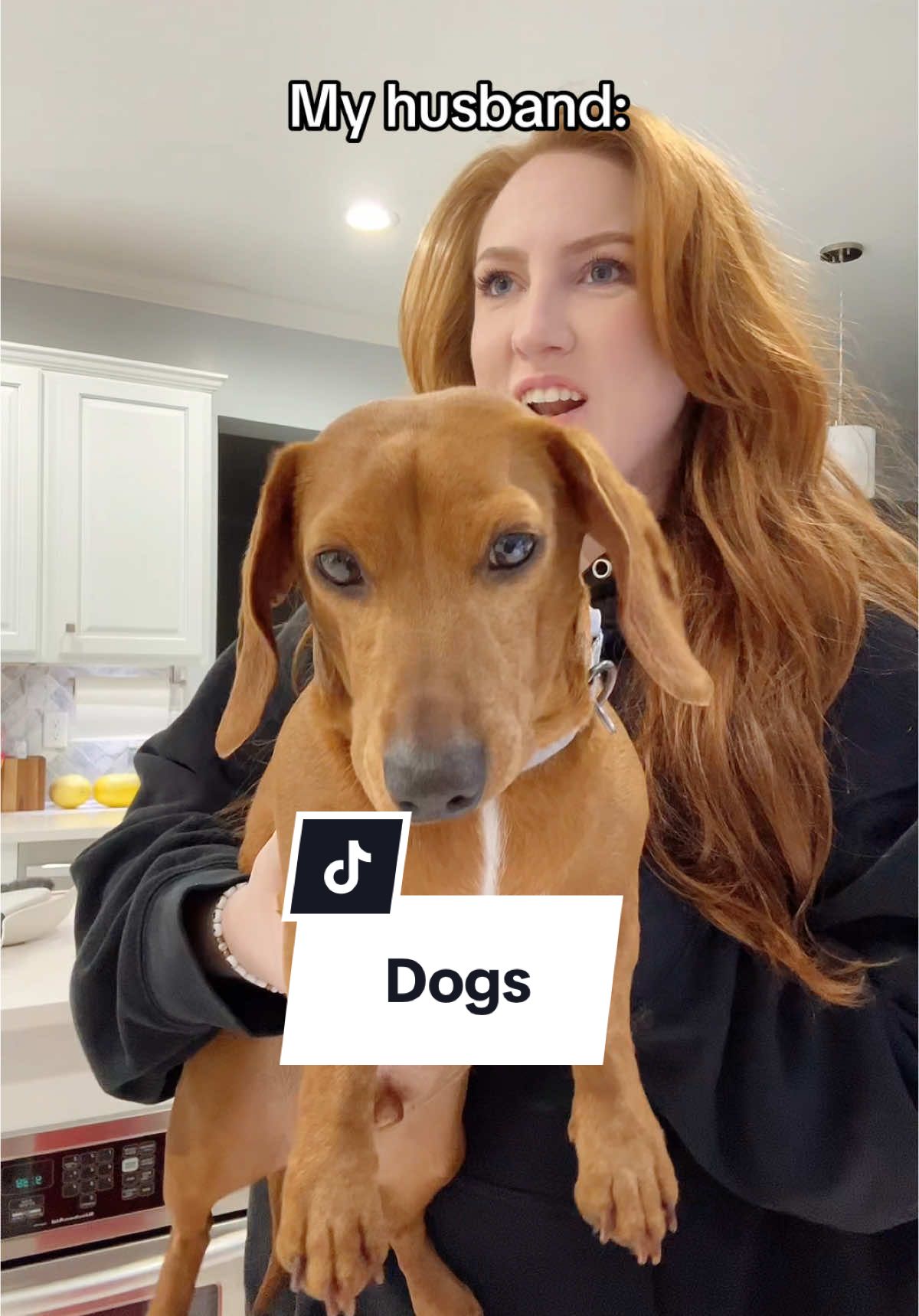 I fear he may win again…  #kingjulian #funny #dachshund #dachshundsoftiktok 