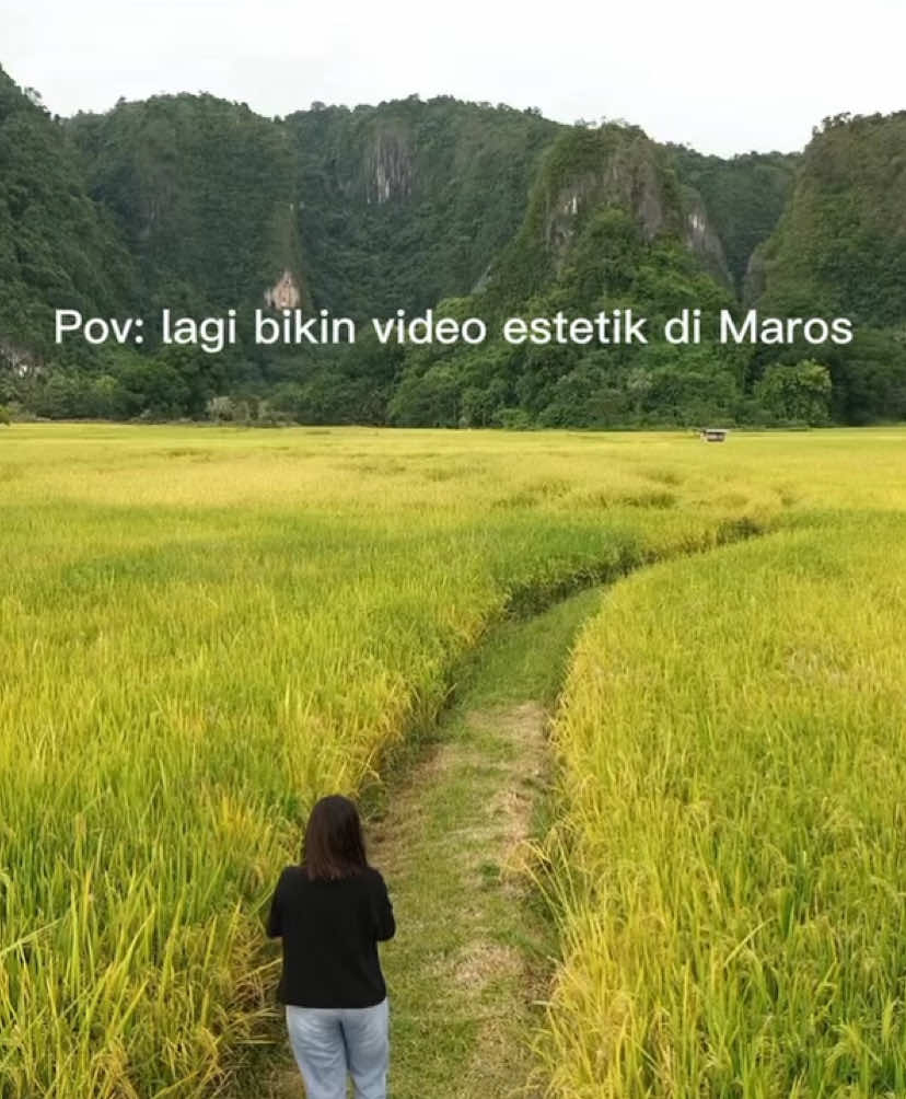 Kali ini kameramen tidak terselamatkan🙏🏻 #maros #marossulawesiselatan #exploremaros #fyp #f #foryoupage #lucu #sulawesi #sulawesiselatan 