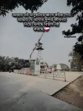 #reduyancahcchu #রেদোয়ানচাচ্চু 