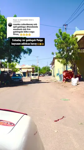 Replying to @MAXAMED MSX #scw_kusaliya_nabiga_scw #followdheh🙏 #safraacankacabudwaq @Geeljire @mzz fatuush🤕 @MAREXAN POWER 🇱🇺👑 @nasriin__111 @.X♥️ 