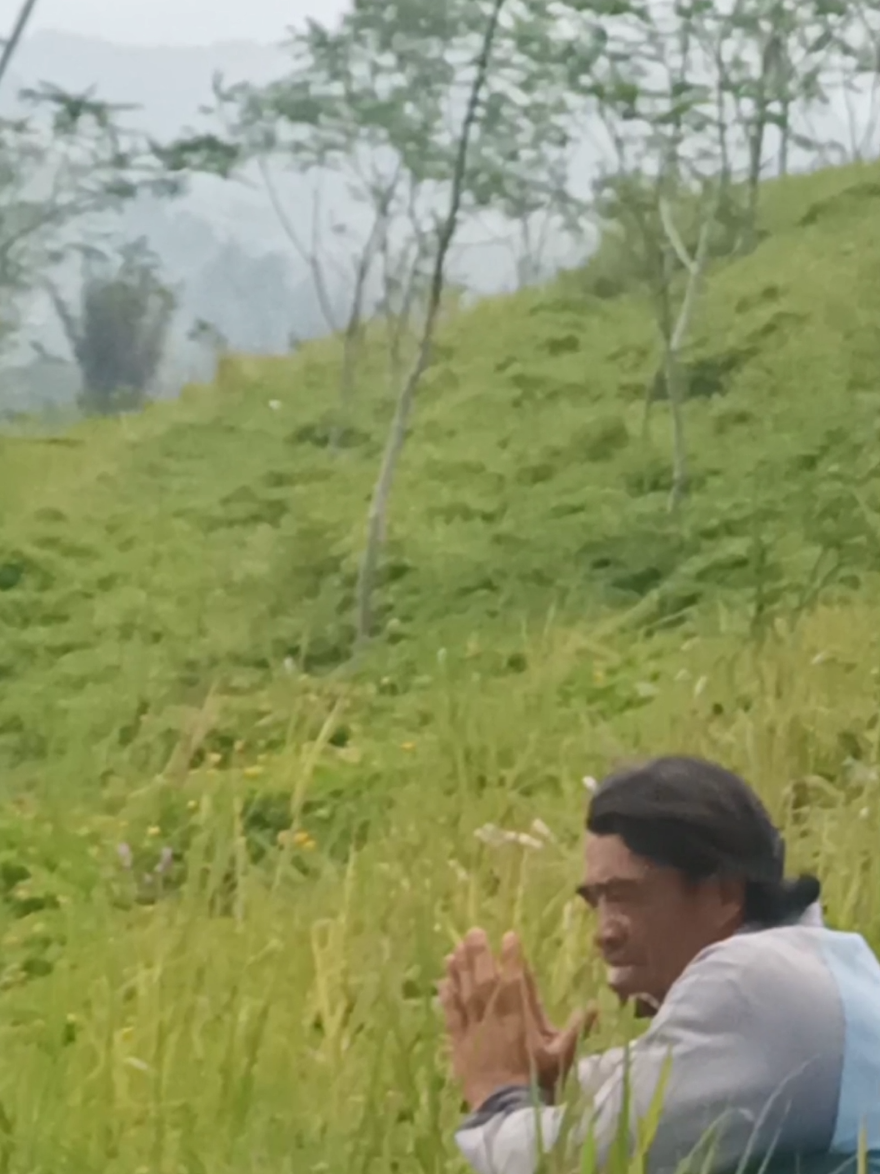 ada yang terciduk di balik semak semak🤣#tiktokhiburan #hiburantiktok #komedi #lucu #kocak #ngakak #komeditiktok #kumpulanvidiolucu #tiktoklucu #viralvideo #trendingvideo #tiktokviral #fyppppppppppppppppppppppp #masukberandafyp #fypシ゚ #nabangkokek #warga62 #komeditiktoklucu #lucu_ngakak #lucubanget #komedikocak #menghiburlucu #lucu_ngakak #ngakak #kocak 