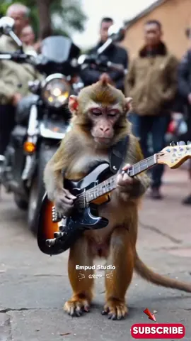 Viral Monyet Main Gitar Akustik Baik Baik Sayang #viral #fyp #empudstudioai #empudstudiogrup 