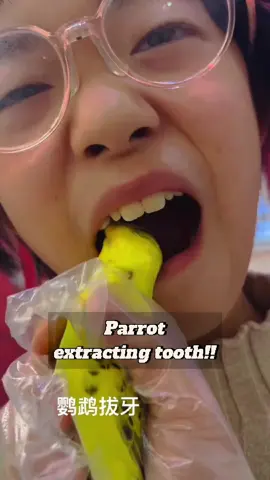 Parrot extracting tooth..!!!🤯😱😍🤣 #parrot #toothextraction #wowww