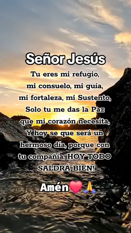 Señor Jesús, Tu eres mi refugio,  micon suelo, mi guía, mi fortaleza, mi Sustento, Solo tu me das la Paz.🙏🌞🕊 #oracióndelamañana 🙌❤️🦋🍃