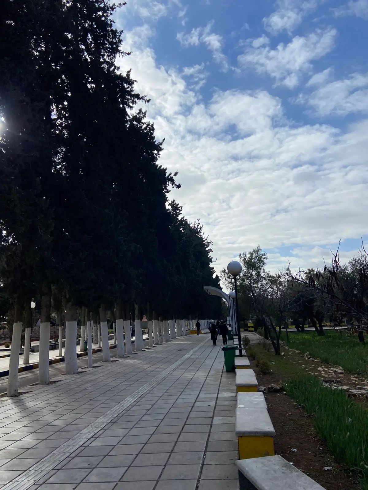 💗💗 #explore #viraltiktok #foryou #viral #jordan #Amman #الاردن #الجامعة_الاردنية 