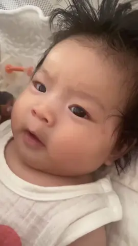 baozhu so cuteeee 😭🤏🏻 #baozhu #parel #pearl #tata #babytiktok #fyp #fypシ 