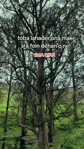 ##liafuan ne sempre mosu iha familia e no Ema slk nx hanoin🥺baihra Ita laiha ona  mundu neeeee😭