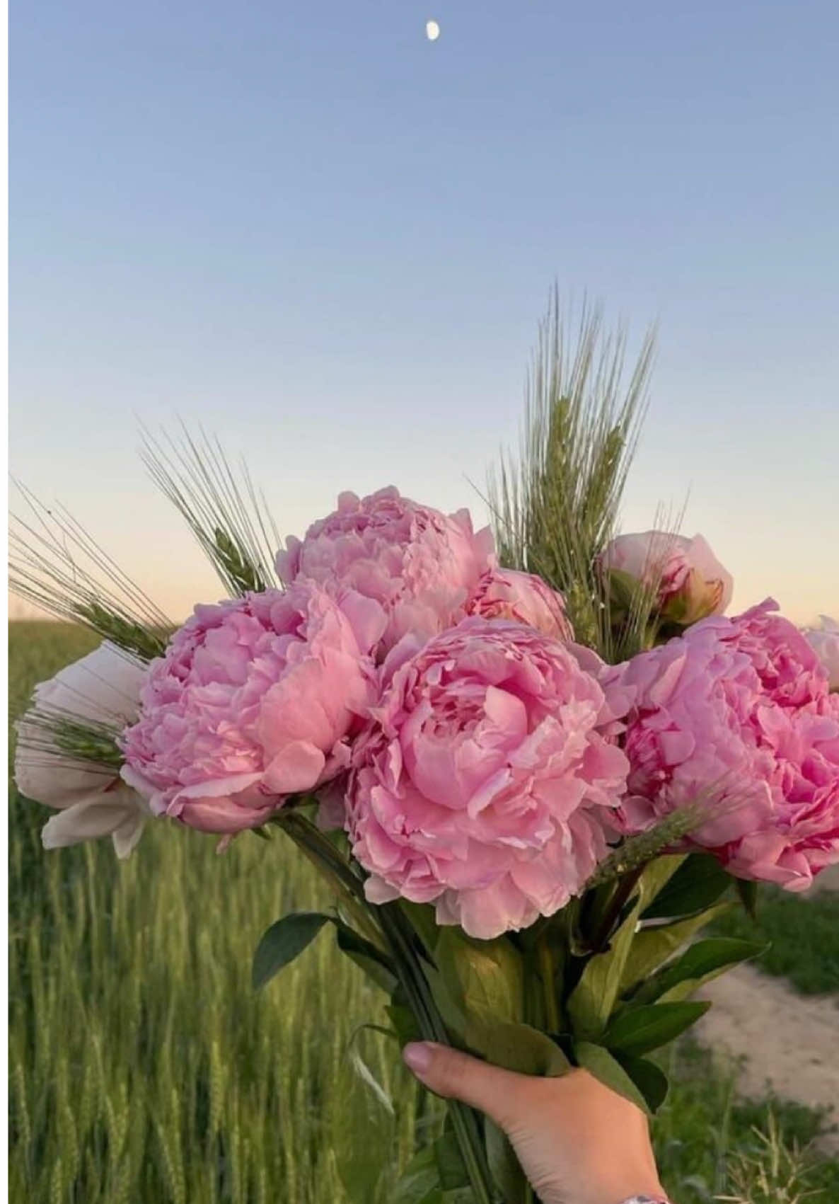 🥸 Ich hab so extremen #muskelkater #langeweile #trends #resetday #viral #fypシ゚viral #fyp #notforyou 