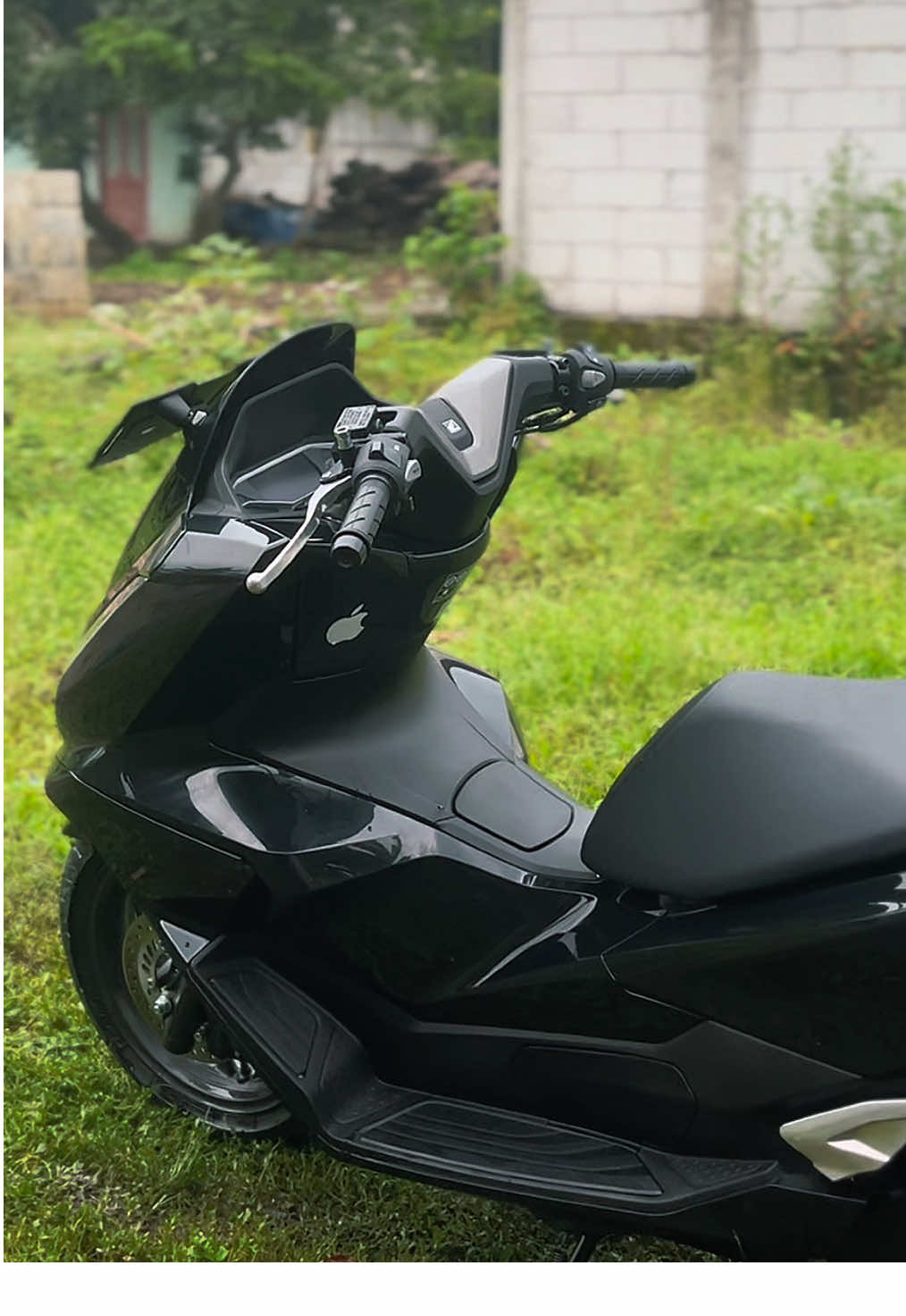 Standar dealer juga ganteng 😂#JJCapCut #pcx #pcx160 #pcx2025 #pcx160ล้อ17แต่งสวย #pcxindonesia #thailandstyle🇹🇭 #xyzbca 