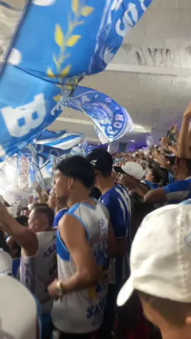Inexplicável! 🤍🐺🩵##paysandu##RExPA##mangueirao##futebolparaense##football
