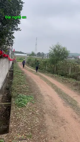 Đúng lấy nhầm vợ hấn khổ chì chi bà con ơi#xuhuong #nghean 