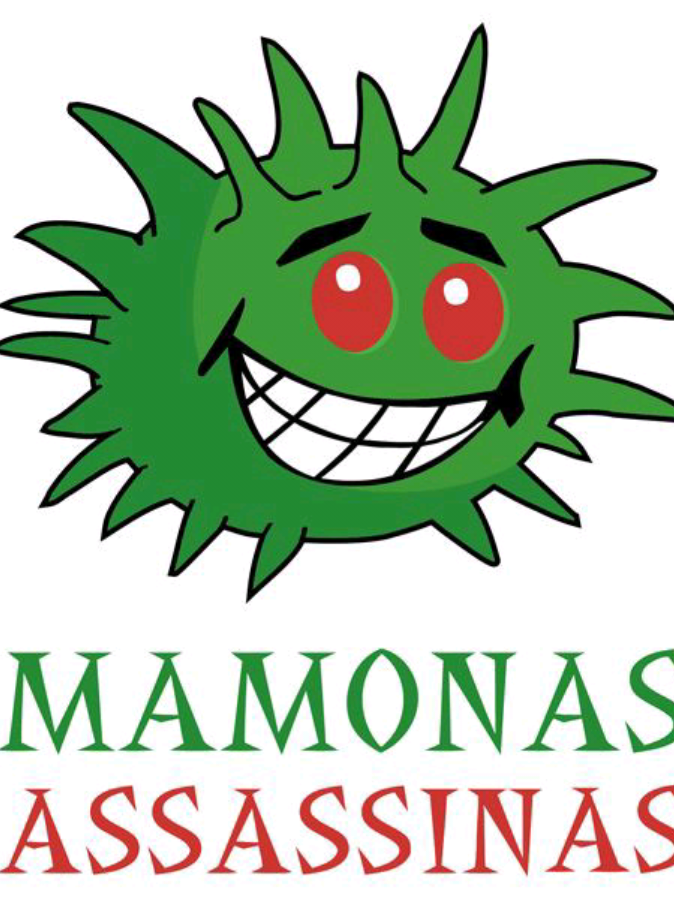 Mamonas assassinas!!🤍🤟 ________________ #mamonasasasinas #fy #viral #meuspichulinhos #edit #fyu  ib:??