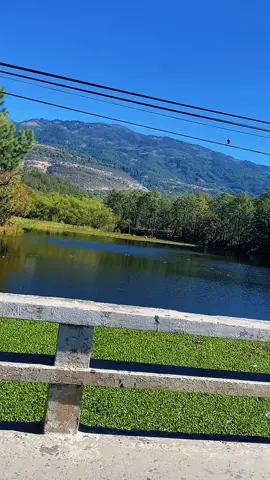 No dejes q los pensamientos negativos  obstruyen tu visión ♥️🫶😁🧃🧃🧃🧃