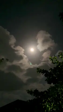 antara sunyi dan ketenangan 😌…. •   • • • #fyp #nightvibes #instrumen #loneliness #naruto #sunyi #sepi 