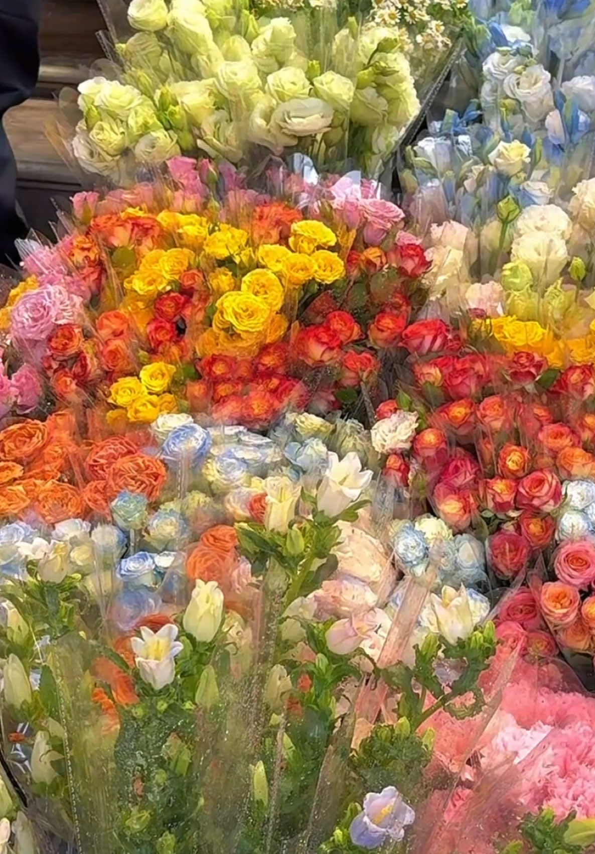 chẳng ai rời bỏ ai cả, chỉ là đến lúc họ chọn bình yên, bình yên ấy ko có bạn#fypシ #yeuhoa #flowers #trendflower #hoaxinh #hwadestudio 