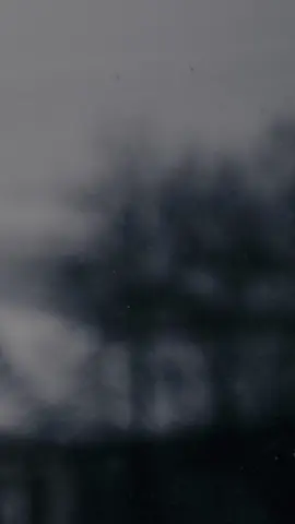 باسمِهِ تعالى ادعو لكُم بالصبر و التحمُّل و ارجو ان تُوفّقوا للعُبورِ من هذا البلاء و الامتحان و الاختبار مَرفوعي الرأس في الدُنيا و الآخِرة.