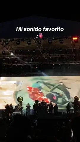 #misteriosa #bandamisteriosa #rango #fyeシ 