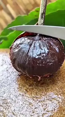 Já imaginou uma fruta que tem gosto de pudim de chocolate? 🍫😱 Mas calma… tem um detalhe que pode te fazer desistir de provar! Assiste até o final e descobre! 👉 Segue O Poder das Frutas pra mais curiosidades! 🍎🍍🍓 #SapotaNegra #FrutaDeChocolate #Curiosidades #FrutasExóticas #PoderDasFrutas