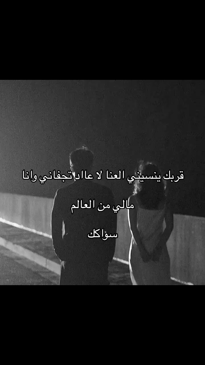 #فلاح_المسردي #فلاح_المسردي💤 #شيلات 