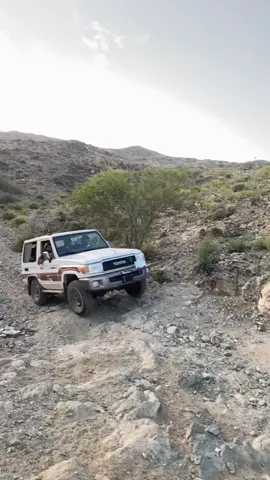 مشالله #ربع #الطايف #ارشيف #مشاءالله_تبارك_الله 