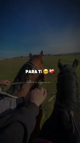 El amor no va conmigo - Víctor Bernal 🔥 #victorbernal #orlandoortiz #fyp #foryoupage #rolitaschidas #viral_video #juventudtipiquera❤️🇵🇦 #juventudtipiquera #musicatipicapanameña #tipicoconsentimiento #tipicopanameño #tipicopanama #panalyrics🇵🇦 #panama #pty507 