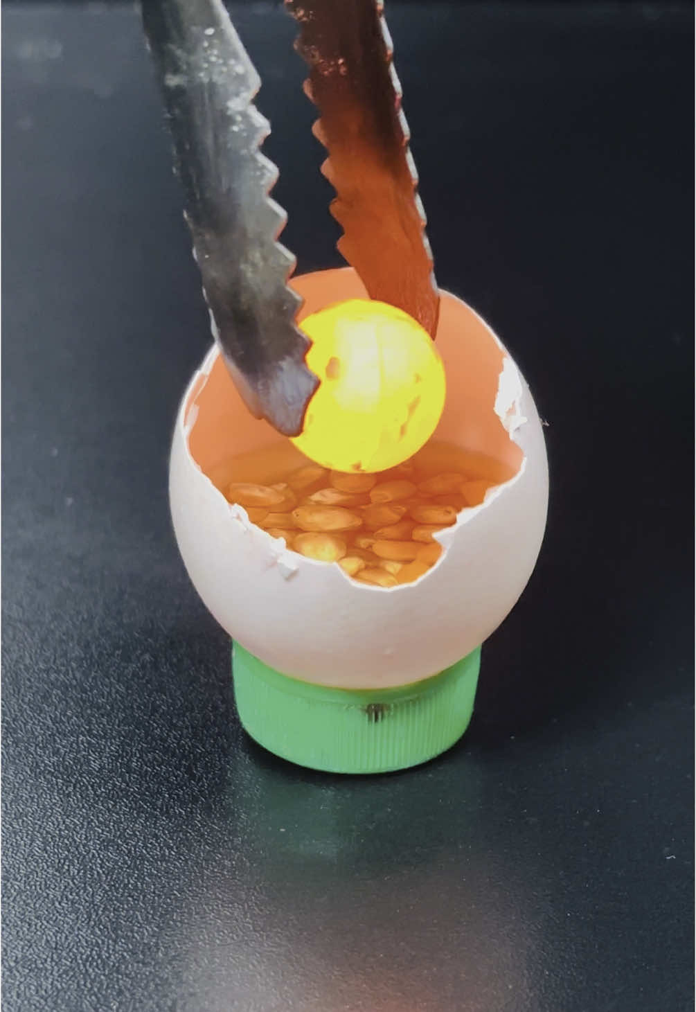 Making Popcorn In Egg Cover With 1000℃ Red Hot Metal Ball #rhcb #satsifying #experiment #asmr #asmrsounds #oddlysatisfying #foryoupagе #usatiktok #uktiktok #fyp 