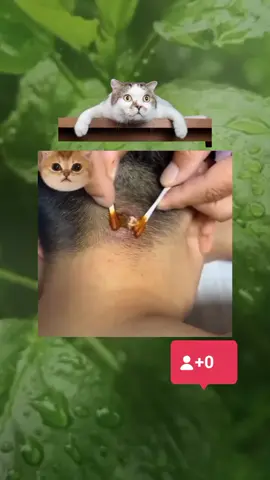 #asmr ##fyp #relax #removepimples #pimples #asmrsounds #asmrsounds 