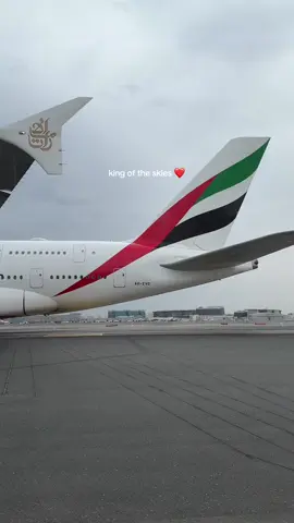 Morning in Dubai International Airport #dubaiinternationalairport #airport #emirates #emiratesairlines #aviation #aviationlovers #aviationlife #aviationdaily #kingoftheskies #a380airbus #a380lovers 