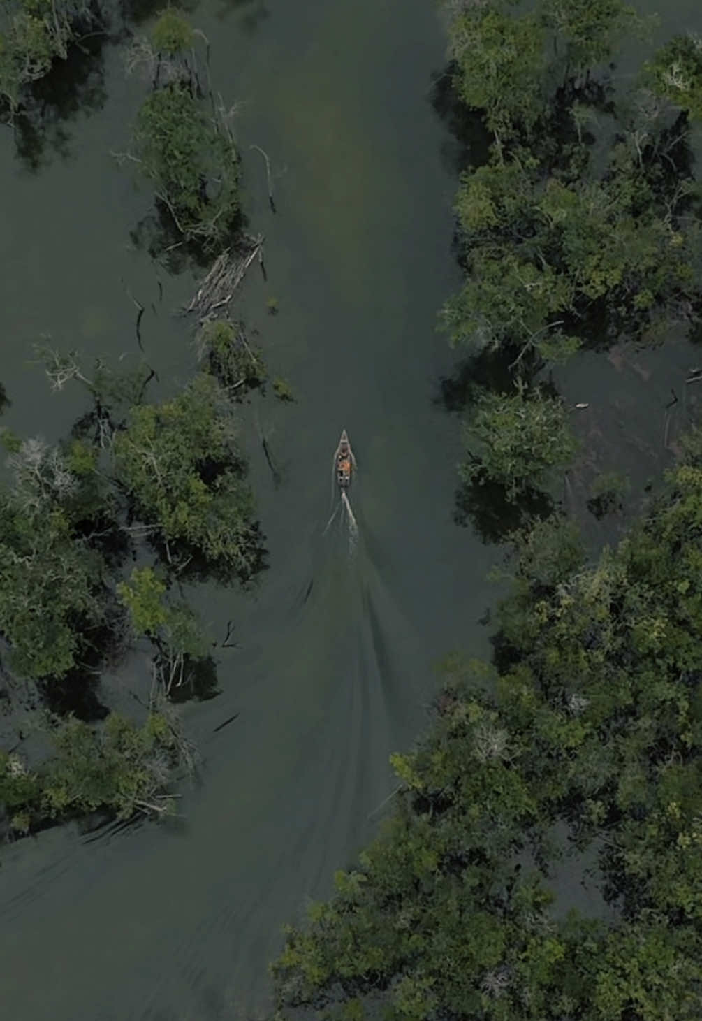 moça filmada pelo drone em um igarapé na Amazônia #moçafilmadapelodrone #amazon #amazonia #igarapé #destino #travel #traveltiktok 