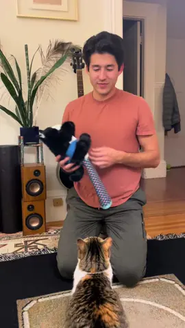 Cat Wrestling Glove, Antarcking Wrestler, Cat Wrestling Toy Puppet, Cat Hand Puppet for Play, Cat Puppet for Boredom-Busting Training and Exercise#decoration #decor #toy #cat