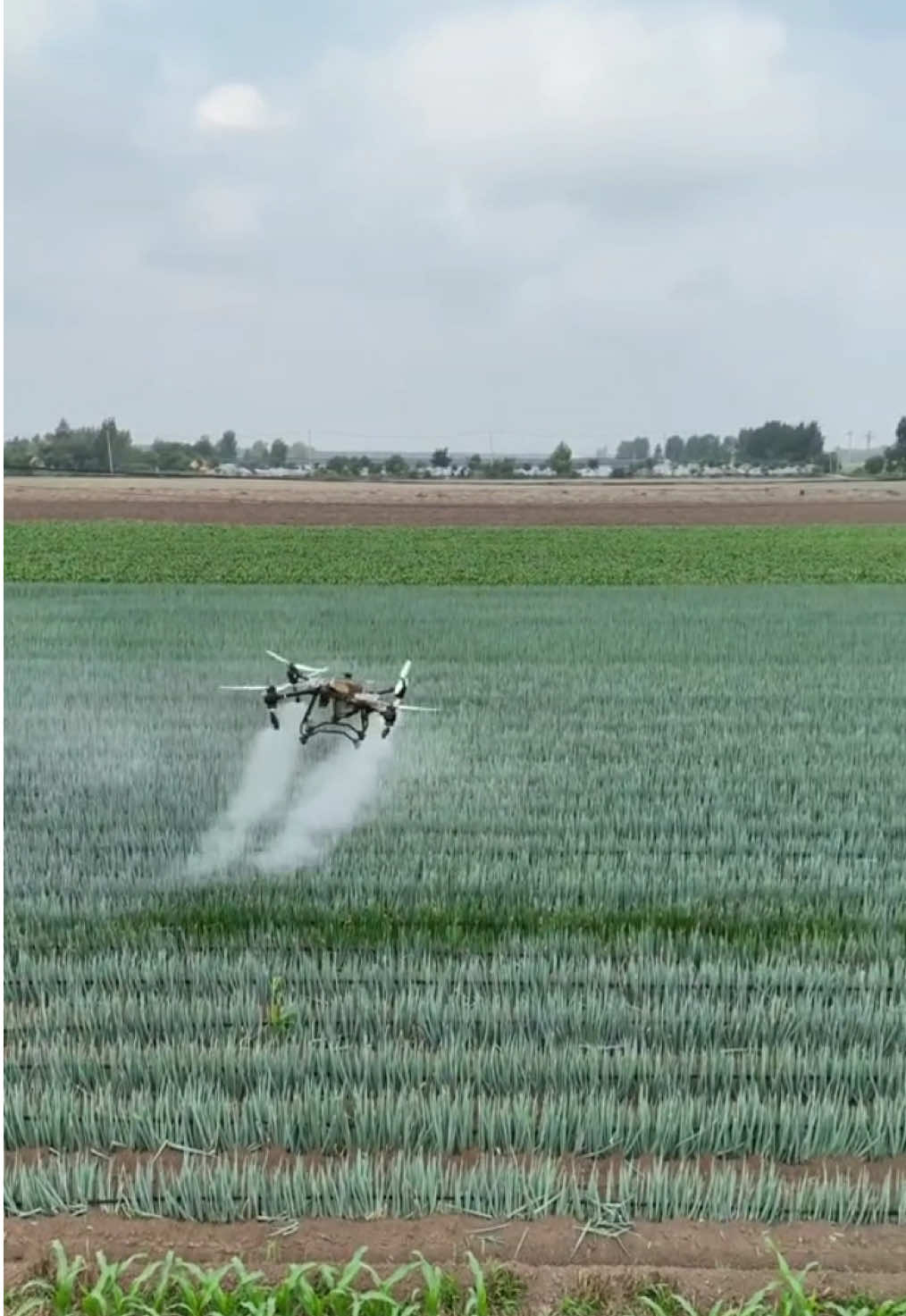 Precision farming . Drone spray 