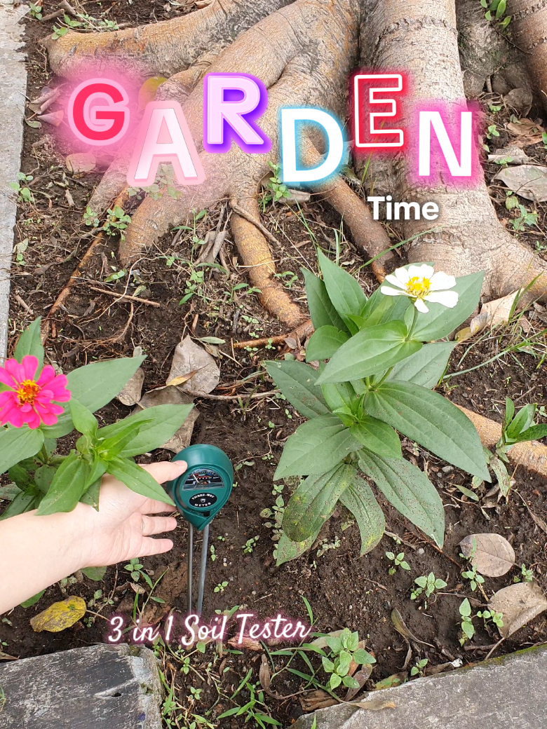 🌷3 in 1 Soil meter🌷 langsung co (di live dalam  lebih murah) #gardentime #fyp #soilmeter 