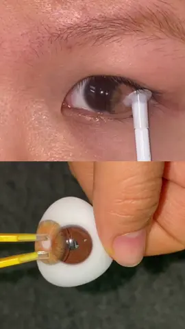 New arrivals  👏👏  Model: Mi22-A  Cleopatra hazel	 BC: 8.6mm丨DIA: 14.2mm丨WT 40%丨12 Months 🏷 #freshlady #freshladylens #freshladycontactlenses #contactlenses #wholesalecontactlens #coloredlenses #colorcontacts #makeupartist #makeupideas #beautifuleyes #fashion #cosplay #glammakeup #softlens