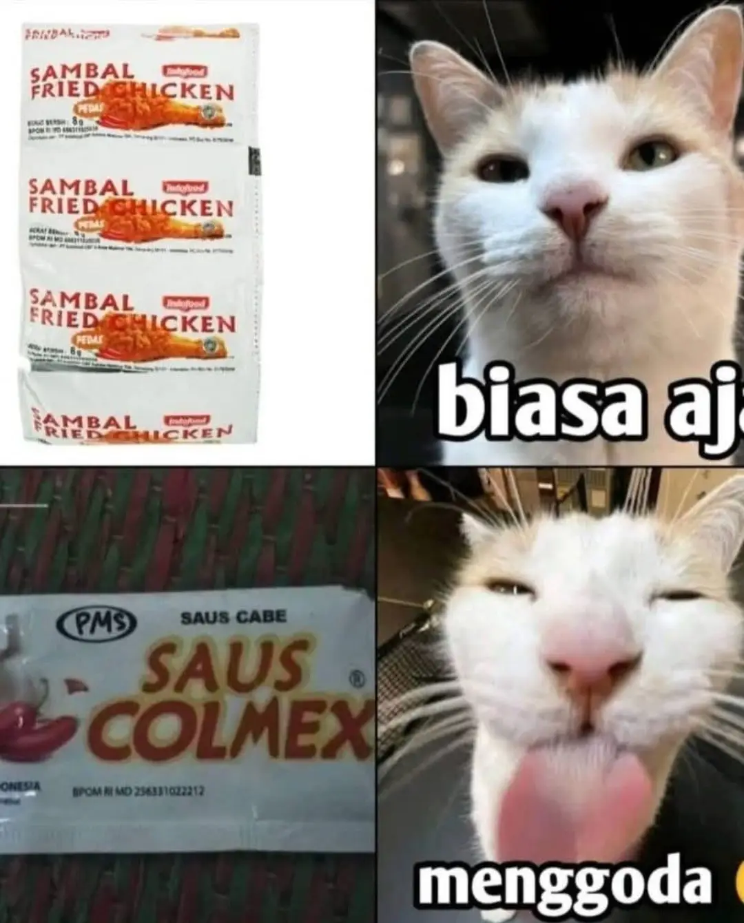 mana tahan #meme #memelucu #kucing #fyp 