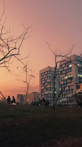 මල් පාරට හවස තියන view එක ✨ #sliit #evening #sliitlife #university  @SLIIT.life 