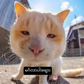 မပျင်းရဘူး တစ်ရက်