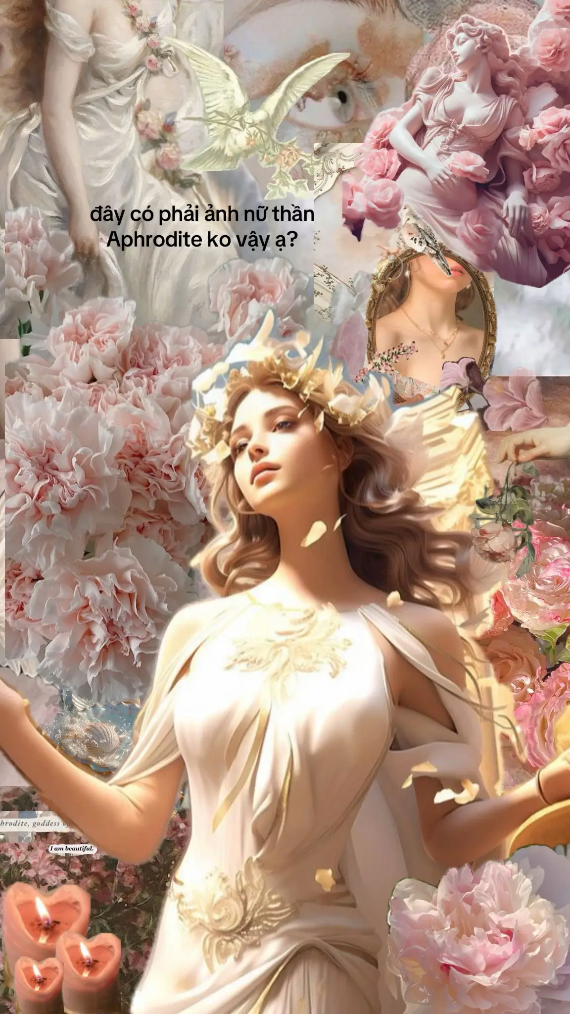 mình muốn để hình nền nhưng ko bt có đúng ko ạ#xh #aphrodite #hinhnen 