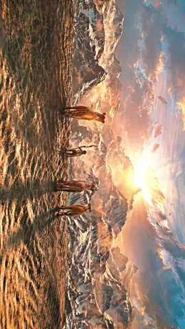 🐅 #120fps #edits #akira #disney 