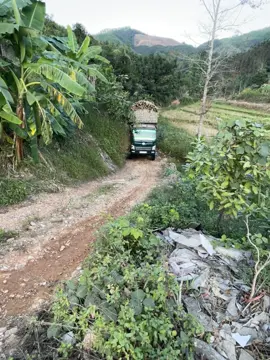 #xuhuongtiktok #xuhuong #fawcaudau2024 