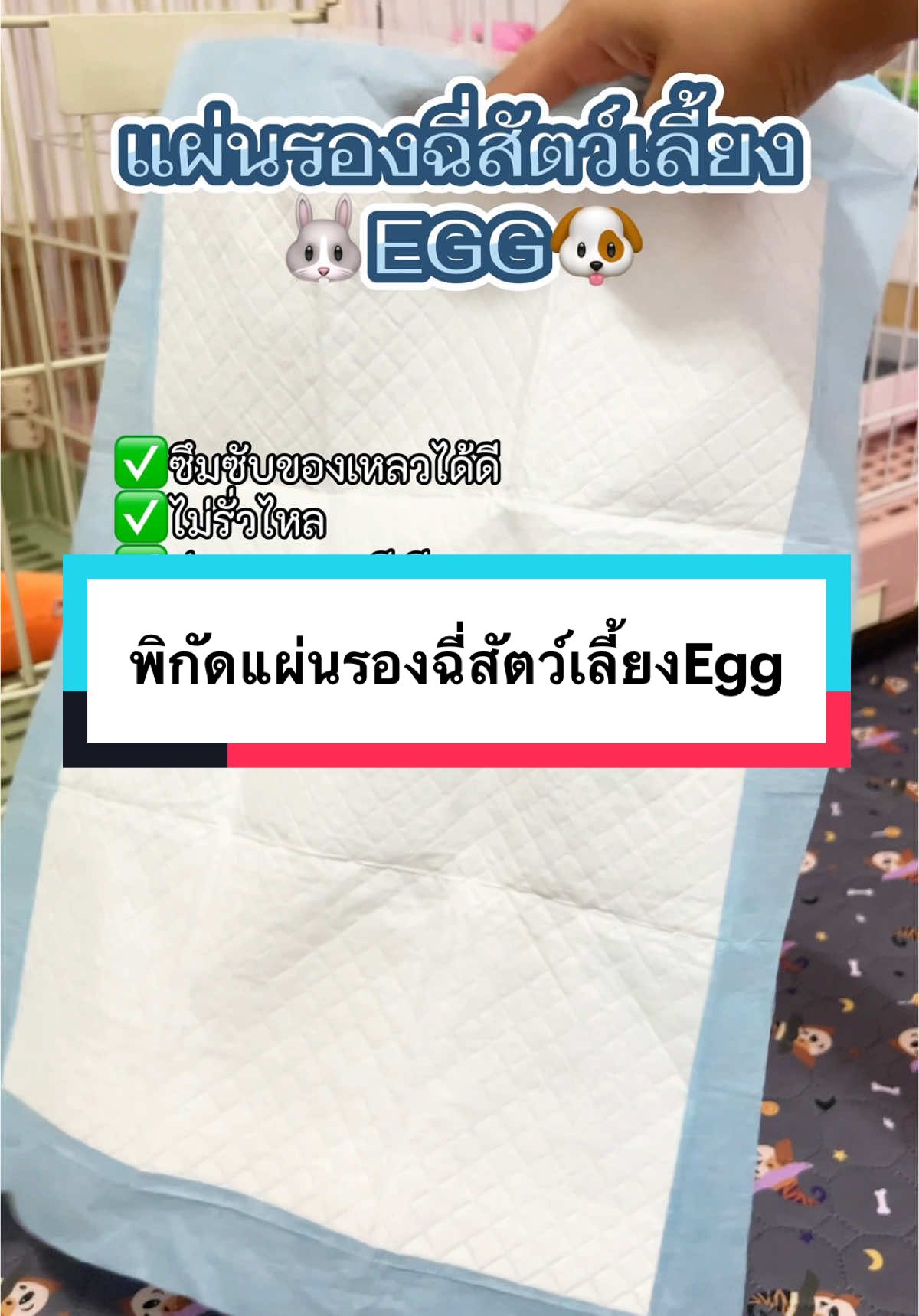 แผ่นรองฉี่สัตว์เลี้ยงEgg#ทาสกระต่าย #ทาสหมา #แกสบี้ #ชินชิลล่า #แพรี่ด็อก #แผ่นรองฉี่สัตว์เลี้ยง #แผ่นรองฉี่ใช้แล้วทิ้ง #แผ่นรองฉี่ #ของใช้สัตว์เลี้ยง #อุปกรณ์สัตว์เลี้ยง #หม่ามี๊กระต่ายPetshop #สวนสัตว์tiktok  @หม่ามี๊กระต่าย PetShop  @หม่ามี๊กระต่าย PetShop  @หม่ามี๊กระต่าย PetShop 