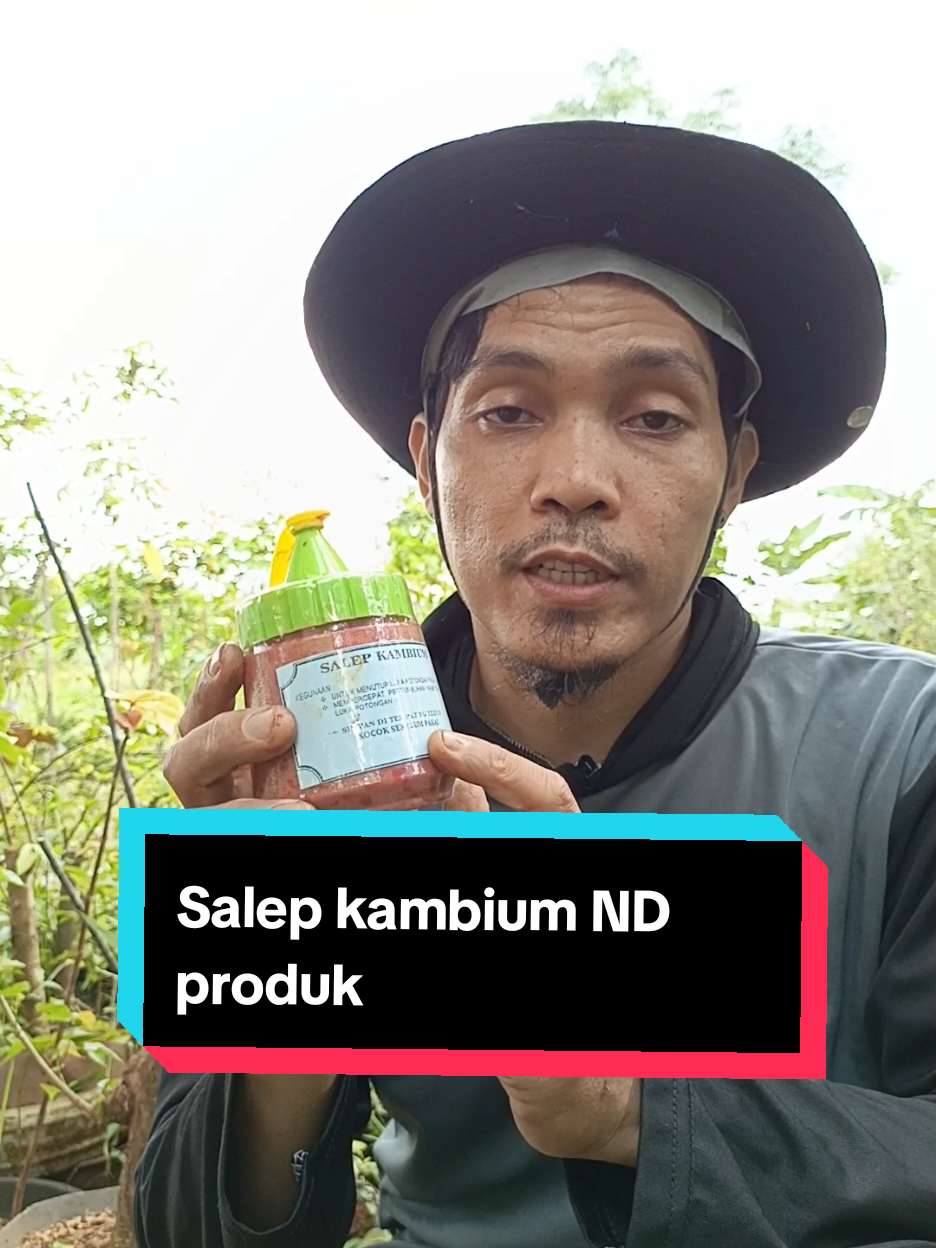 Salep bonsai berkualitas, pakai salep bonsai dari ND produk.  #salepbonsaiberkualitas #salepbonsaiantijamur #salepkambium #salepkambiumbonsai #salepkambiumantijamur 