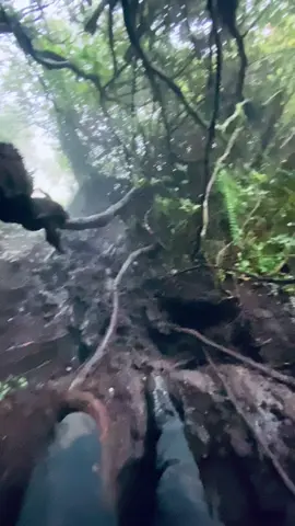 jalur deleng pintau emang se tenang ini. #delengpintau #sibayak 