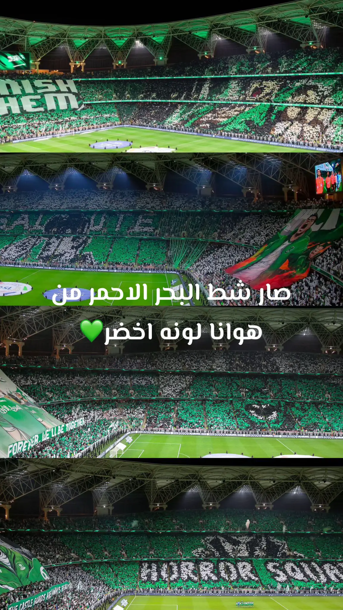 #الاهلي_القادسيه #thesaudileague #ملعب_الانماء #جدة_كذا_اهلي_وبحر🌊 #رياض_محرز🇩🇿 #explore #jeddah #يوم_التأسيس #النادي_الاهلي #النادي_الاهلي_السعودي 