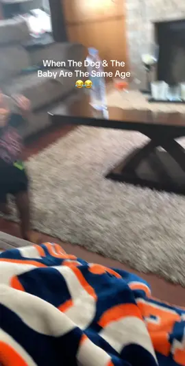 “ grab me “ has me on the floor 😂😂😂😂😂😂😂😭#fypシ #onthisday #dogandbaby #dog #baby 