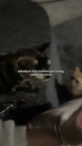 gatal la sentuh sentuh 